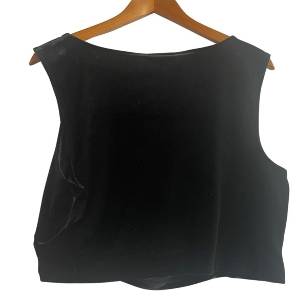 Express NWT crop top. Black velour with a cute cut out. Dressy or party attire. - Picture 5 of 5